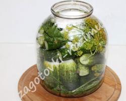 Uhorky s dubovými listami na zimu v pohároch: recept na uhorky s fotografiami a videami Uhorky s dubovými listami