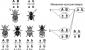 Chromosomal theory of heredity