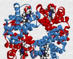 Enzymy při určování struktury a vlastností