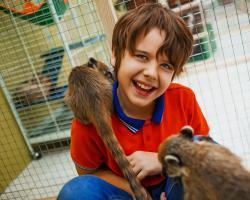 Where to touch it.  Visit the animals.  Central Moscow Hippodrome