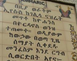 amhara amhara kifejezéstár